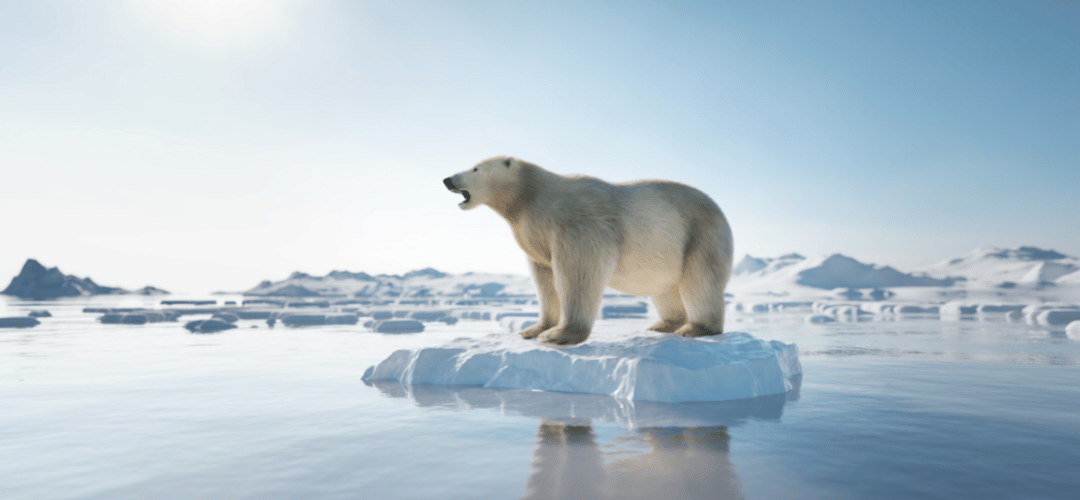 Jak zapobiegać zmianom klimatu?