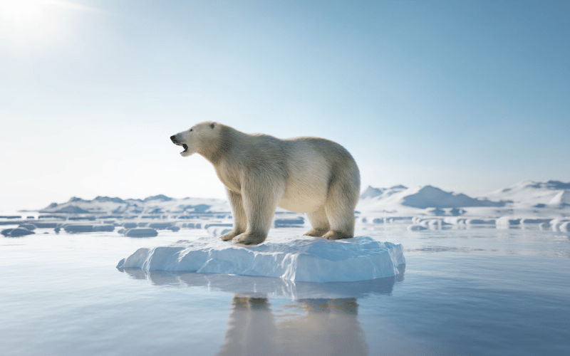 Jak zapobiegać zmianom klimatu?