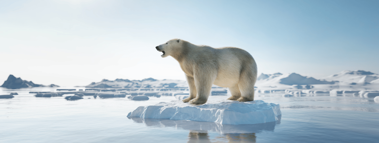 Jak zapobiegać zmianom klimatu?