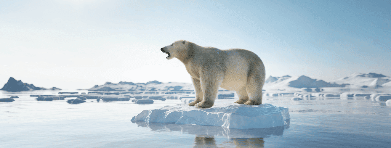 Jak zapobiegać zmianom klimatu?